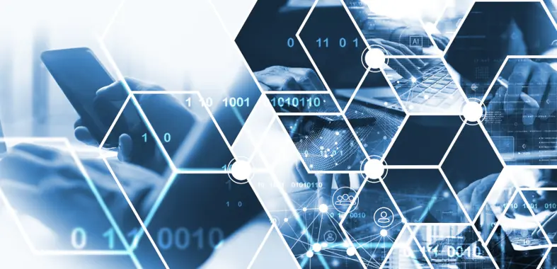 Software - produkter & services